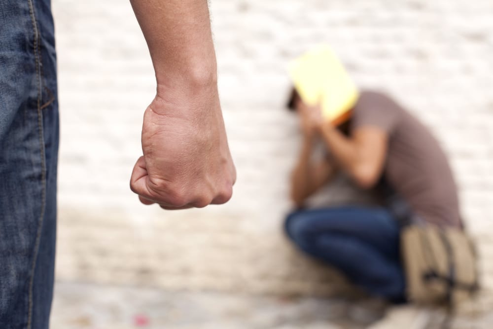 School Bullying Liability School Bullying Liability