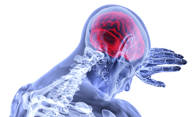 5 Common Causes of Traumatic Brain Injury